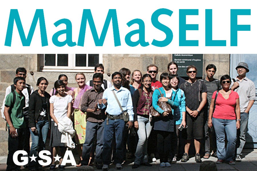 MaMaSELF - Master of Materials Science Exploiting European Large Scale Facilities (Erasmus Mundus)