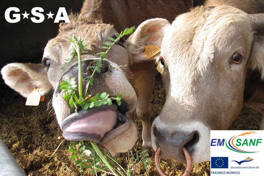 EM-SANF - European MSc in Sustainable Animal Nutrition and Feeding