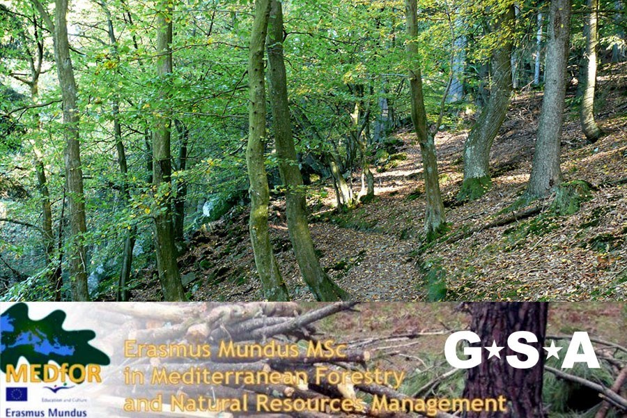 MEDFOR - Mediterranean Forestry and Natural Resources Management (Erasmus Mundus)
