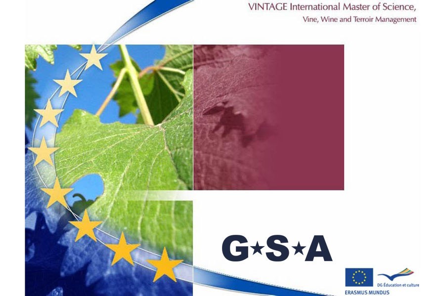 VINTAGE - Master International Vintage, Vine, Wine and Terroir Management (Erasmus Mundus)