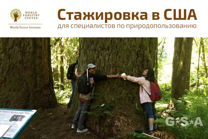 Международный институт лесного хозяйства приглашает на стажировку в США